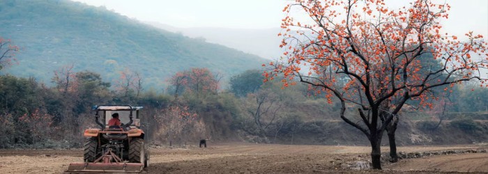 世界如此辽阔，每一处风景，都有其独特的精彩之处。